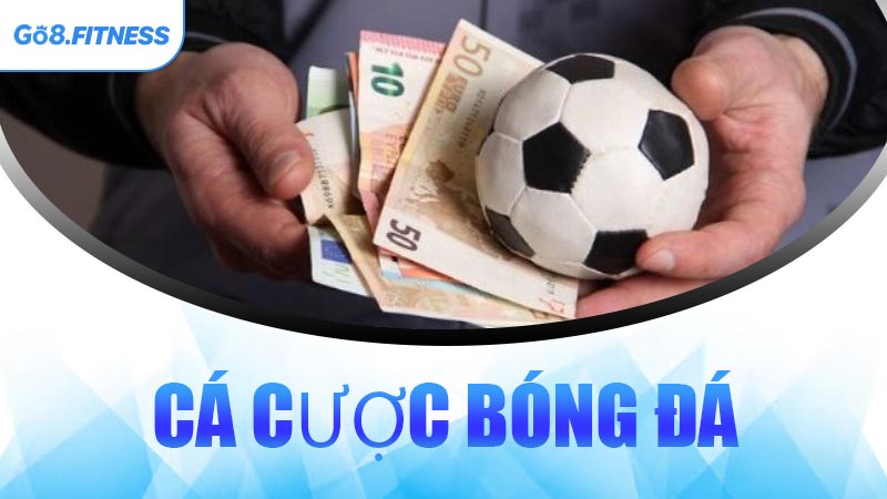 Cá Cược Bóng Đá