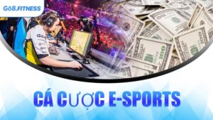 Cá Cược E-Sports