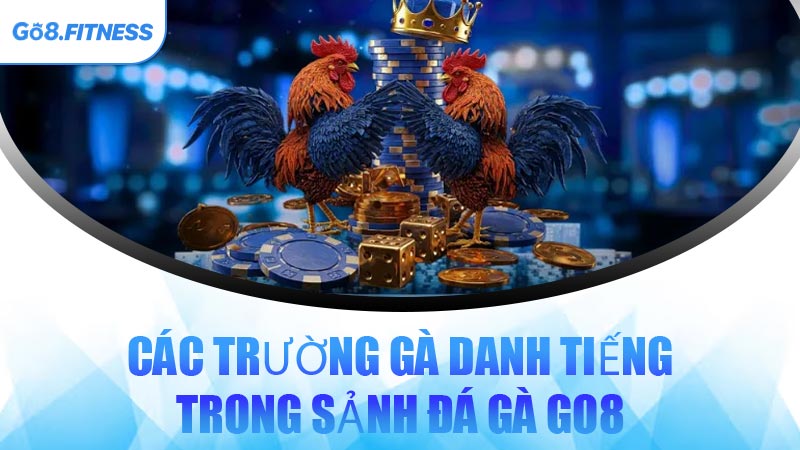 Các Trường Gà Danh Tiếng Trong Sảnh Đá Gà GO8