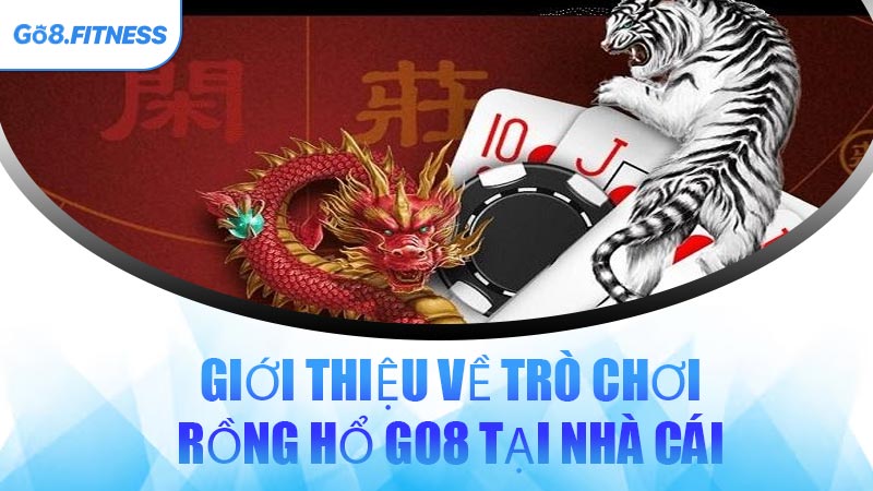 Giới Thiệu Về Trò Chơi Rồng Hổ GO8 Tại Nhà Cái