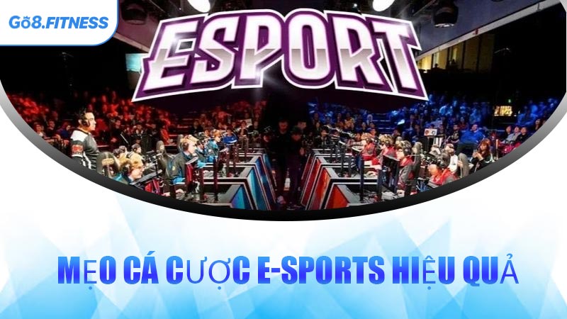 Mẹo Cá Cược E-Sports Hiệu Quả