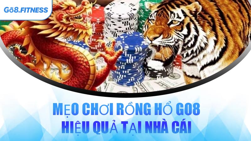 Mẹo Chơi Rồng Hổ GO8 Hiệu Quả Tại Nhà Cái