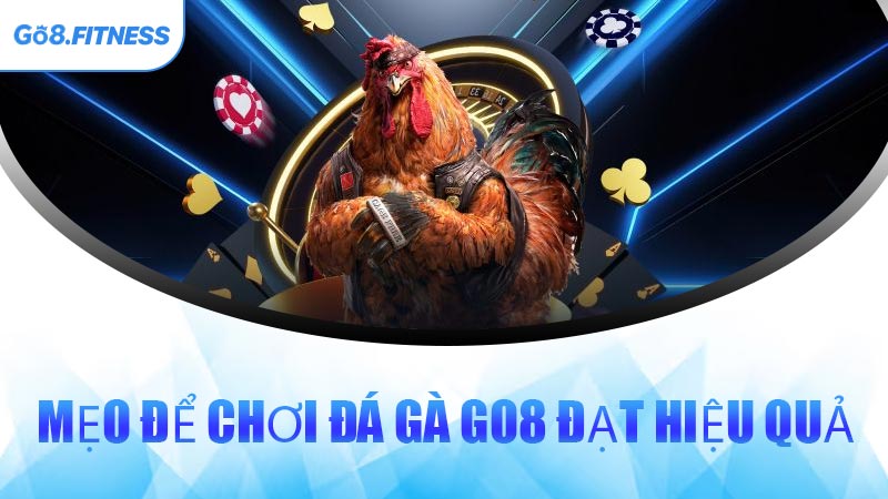 Mẹo Để Chơi Đá Gà GO8 Đạt Hiệu Quả